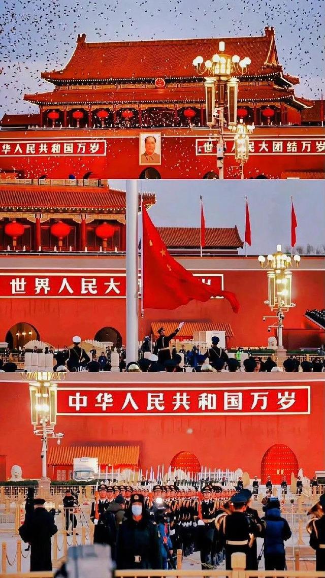 拯救可爱袋鼠