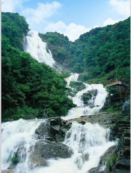 南阳医专一附院隆重举办机械通气培训交流会